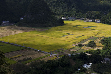 万峰林