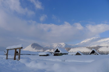 雪景