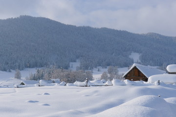 雪景