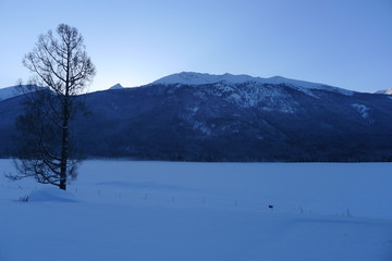 雪景