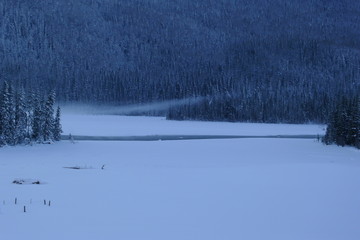 雪景