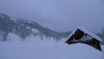 雪景