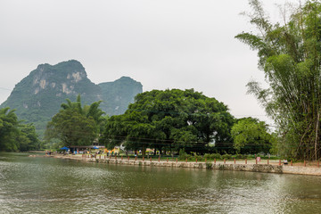 阳朔大榕树景区