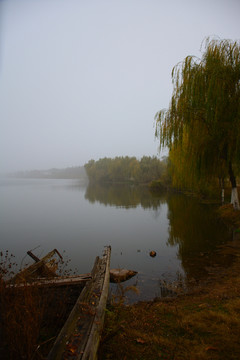 长江湿地风光