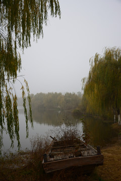 长江湿地风光