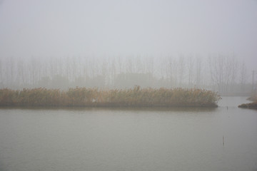 浦口绿水湾湿地