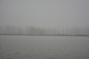 浦口绿水湾湿地