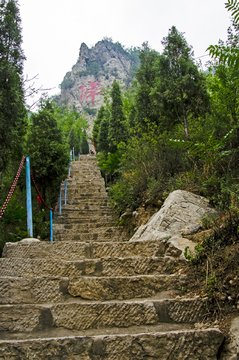 登山台阶