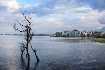 洱海