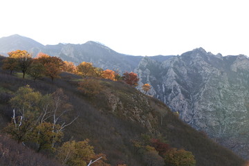 大青山