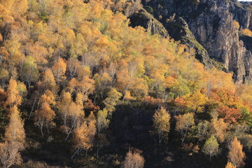 大青山