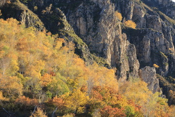 大青山