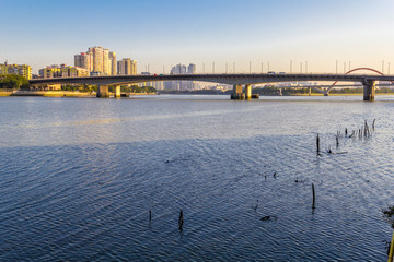 金沙洲大桥