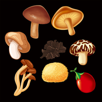 蘑菇集锦