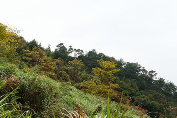 福州状元岭