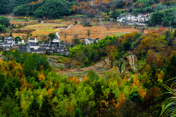 秋色协里田园