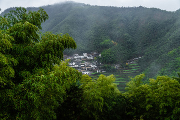 竹海人家蓝天