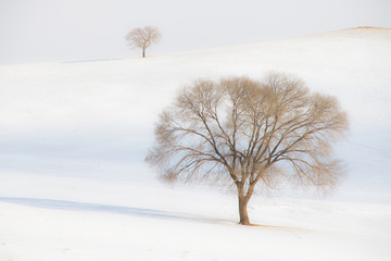 雪