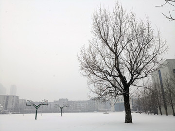 雪中学校操场