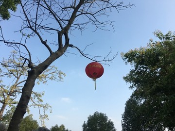 大红灯笼高高挂