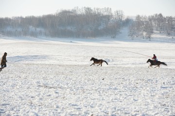 雪地奔马