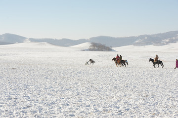 雪地奔马