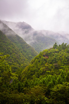 遵义娄山关山脉