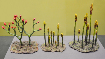 早期蕨类植物模型