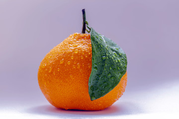 高清丑橘
