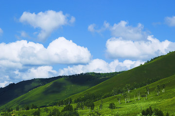 蓝天白云青山白桦