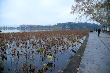 西湖风景区