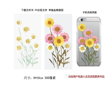 干花手工手機(jī)殼圖片晶菊植物標(biāo)本
