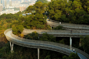 城市森林健身道