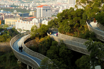 城市森林健身道