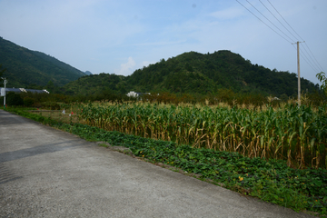 石台风光