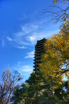 北京大学博雅塔