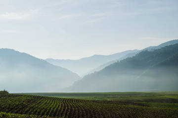 山与田