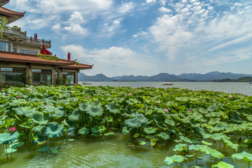 杭州西子湖畔