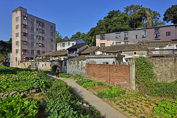 深圳水田古建筑群