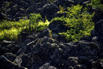 阿尔山火山地质公园风光