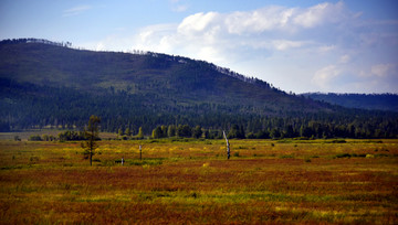 西伯利亚草原