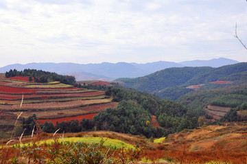 大地调色板