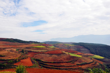 红土地梯田