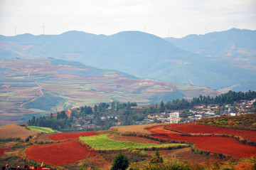 山村