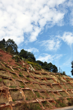 山地护坡