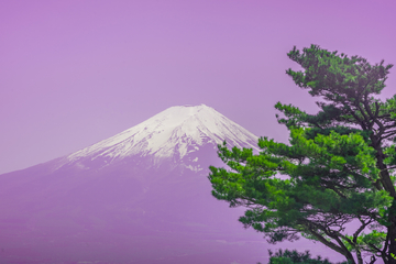 紫色天幕下的富士山