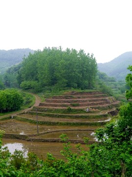 山里农田