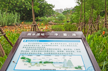 海绵化改造雨水湿地