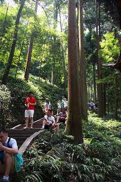 青城山西蜀第一山