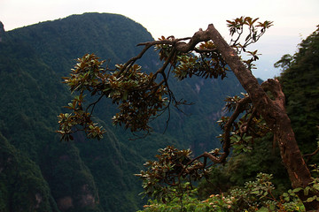 峨眉山